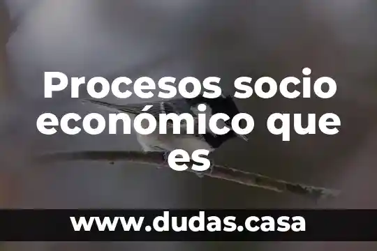 Procesos socio económico que es