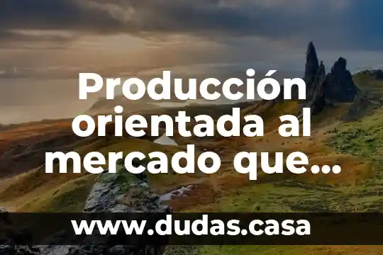 Producción orientada al mercado que es