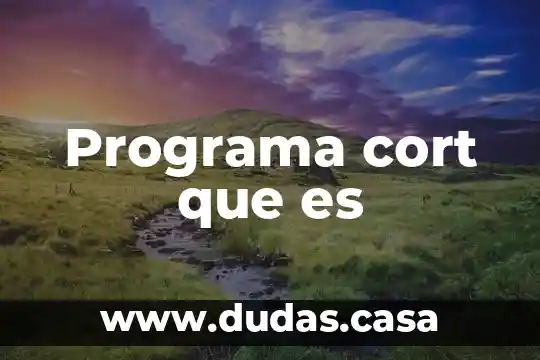 Programa cort que es