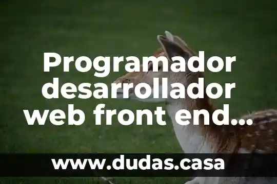 Programador desarrollador web front end que es