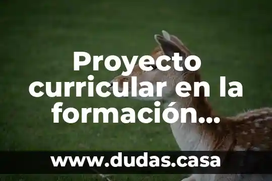 Proyecto curricular en la formación docente que es