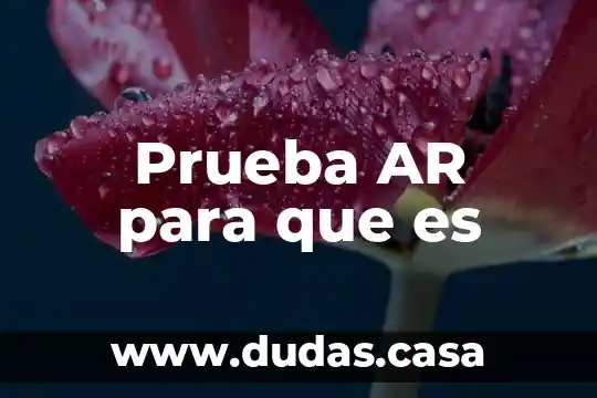 Prueba AR para que es