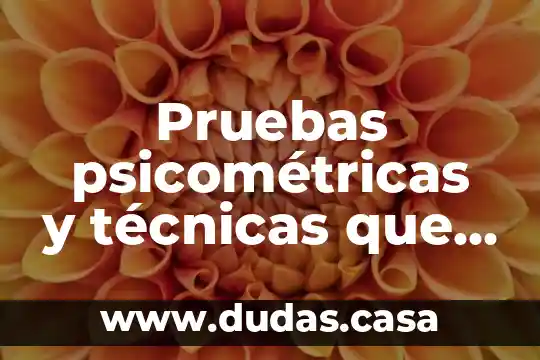 Qué es técnicas de control 8 Pruebas psicométricas y técnicas que es