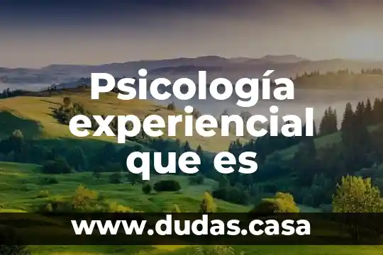 Psicología experiencial que es