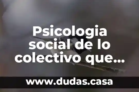 Psicologia social de lo colectivo que es