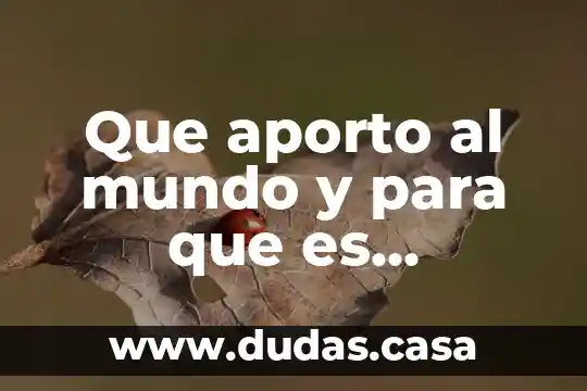 Que aporto al mundo y para que es importante maya