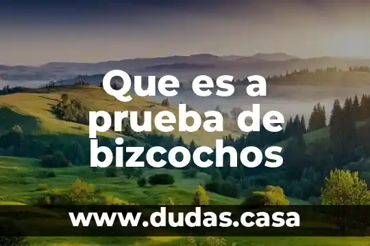 Que es a prueba de bizcochos