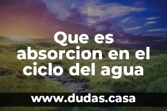 Que es absorcion en el ciclo del agua