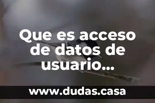 Que es acceso de datos de usuario 21886a2e