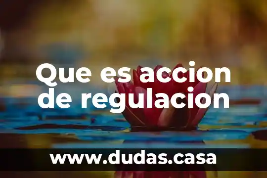 Que es accion de regulacion