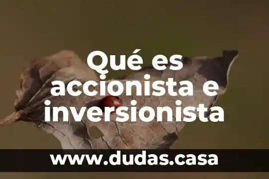 Qué es accionista e inversionista
