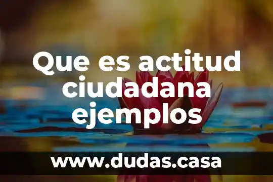 Que es actitud ciudadana ejemplos