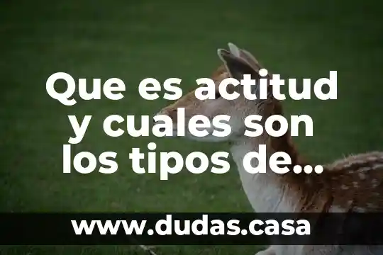 Que es actitud y cuales son los tipos de actitud