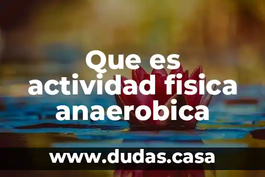 Que es actividad fisica anaerobica