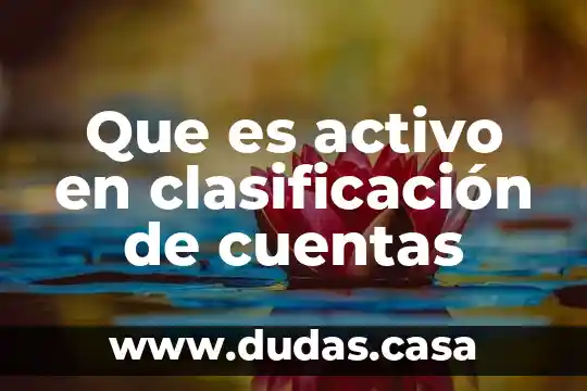 Que es activo en clasificación de cuentas