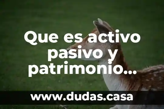 Que es activo pasivo y patrimonio neto
