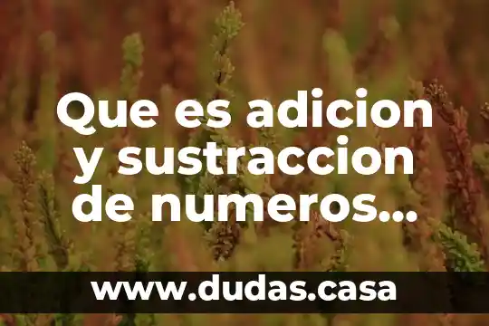 Que es adicion y sustraccion de numeros decimales