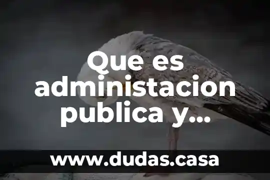 Que es administacion publica y privada