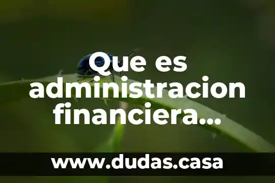 Que es administracion financiera internacional