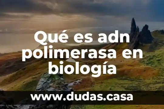 Qué es adn polimerasa en biología