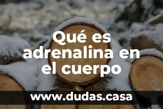 Qué es adrenalina en el cuerpo