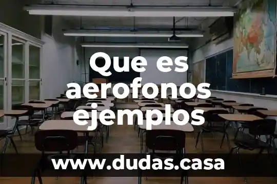 Que es aerofonos ejemplos