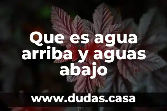 Que es agua arriba y aguas abajo