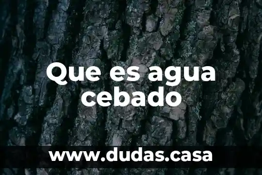 Que es agua cebado