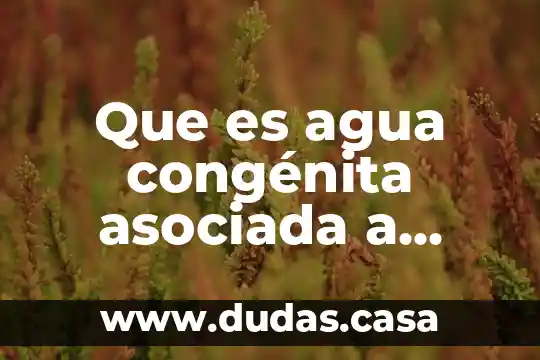 Que es agua congénita asociada a hidrocarburos