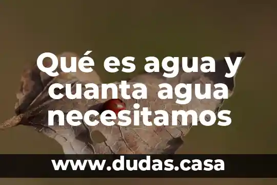 Qué es agua y cuanta agua necesitamos