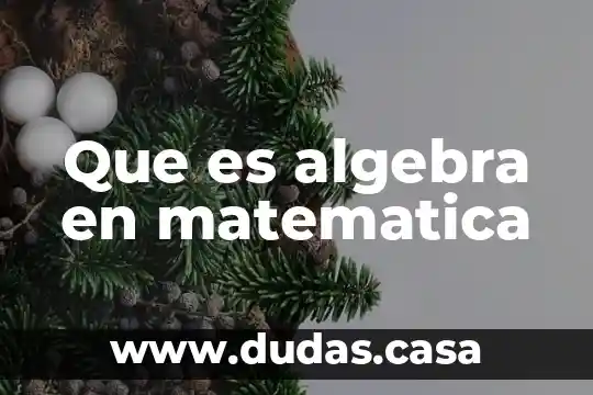 Que es algebra en matematica