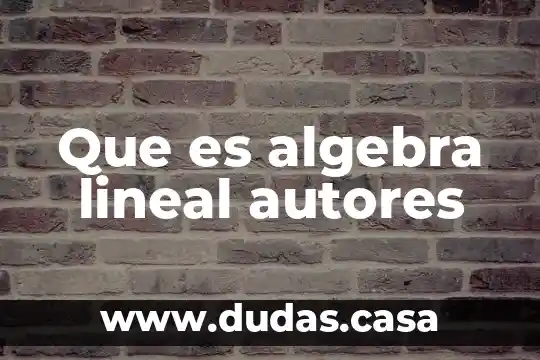 Que es algebra lineal autores