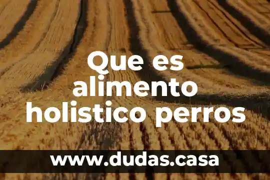 Que es alimento holistico perros