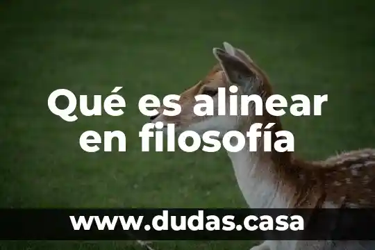 Qué es alinear en filosofía