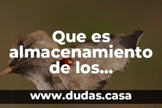Que es almacenamiento de los alimentos