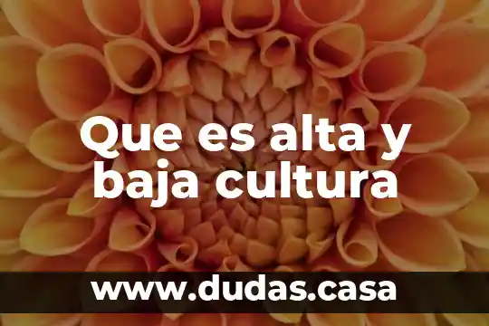 Que es alta y baja cultura