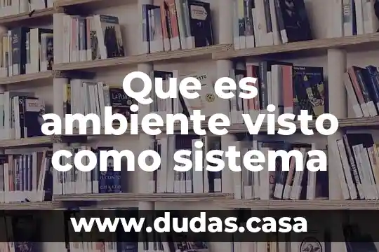 Que es ambiente visto como sistema