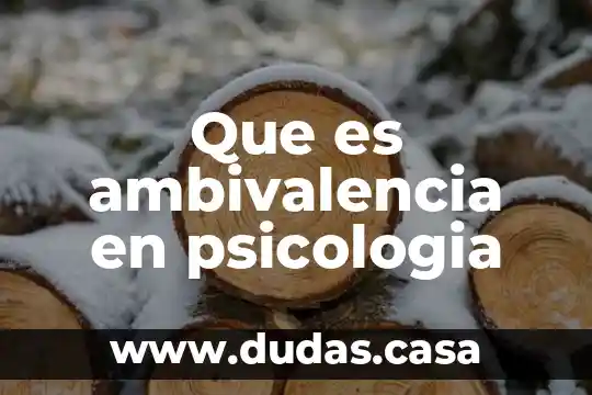 Que es ambivalencia en psicologia