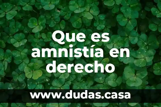 Que es amnistía en derecho