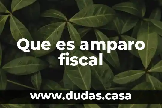 Que es amparo fiscal