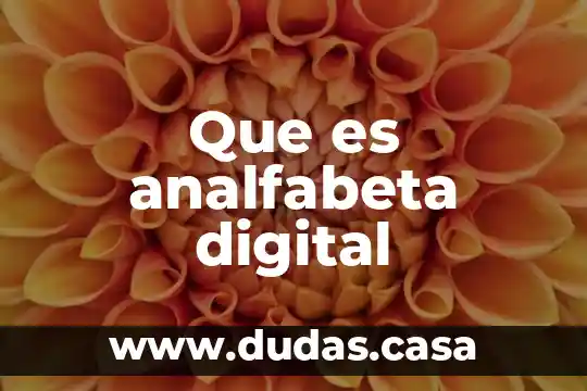 Que es analfabeta digital