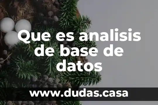 Que es analisis de base de datos