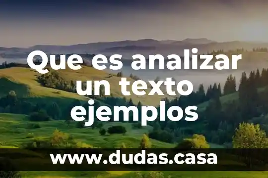 Que es analizar un texto ejemplos