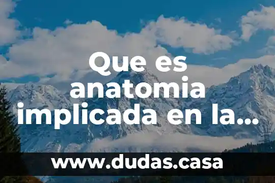 Que es anatomia implicada en la actividad fisica