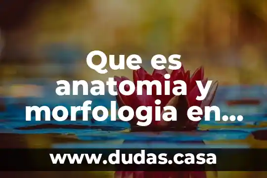 Que es anatomia y morfologia en una planta frutal