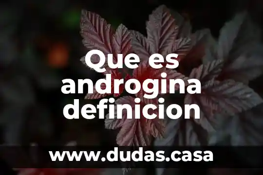 Que es androgina definicion