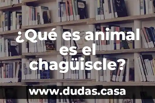 ¿Qué es animal es el chagüiscle?