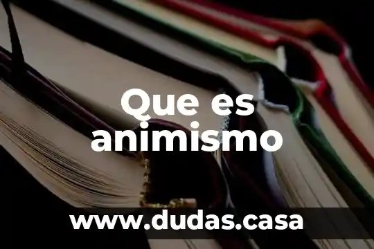 Que es animismo
