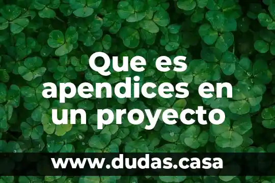 Que es apendices en un proyecto