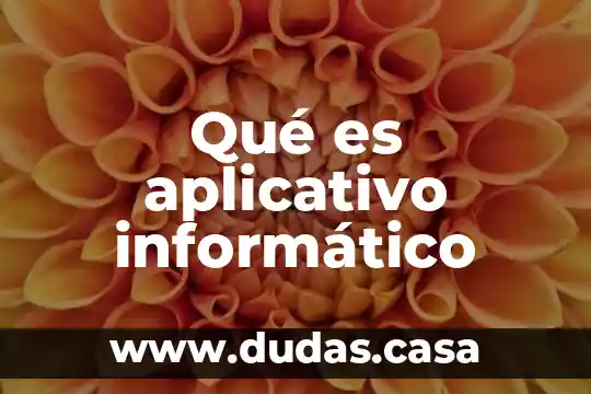 Qué es aplicativo informático